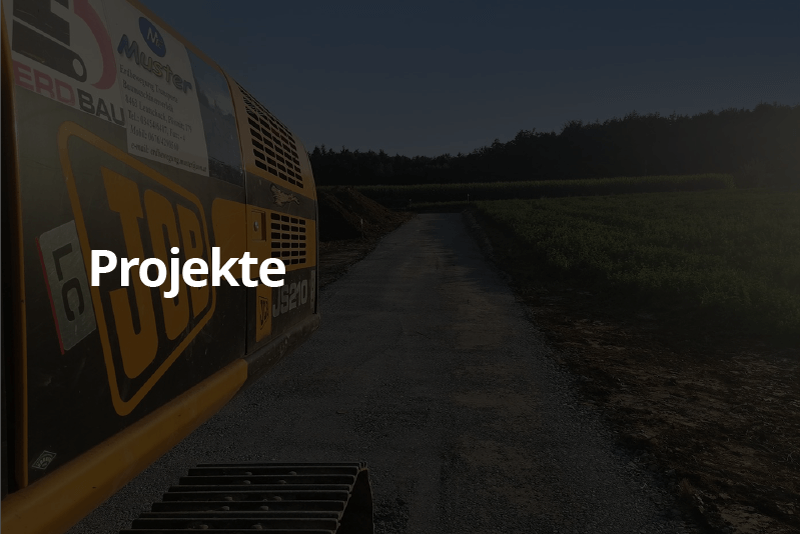 Projekte